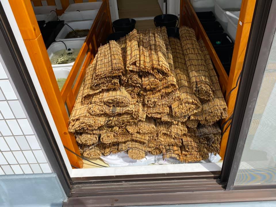 f:id:izest:20200907184644j:plain