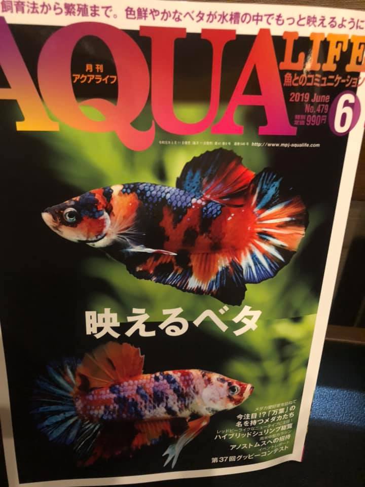 f:id:izest:20200922200910j:plain