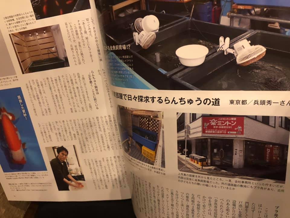 f:id:izest:20200922200924j:plain