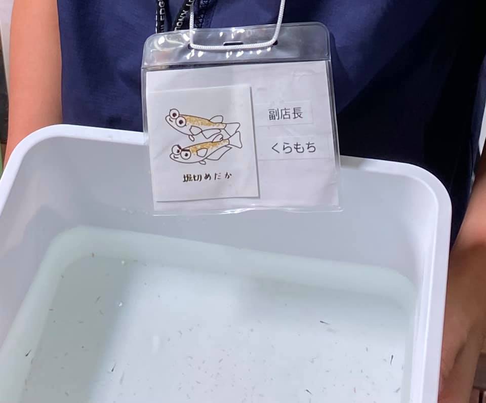 f:id:izest:20210104181336j:plain