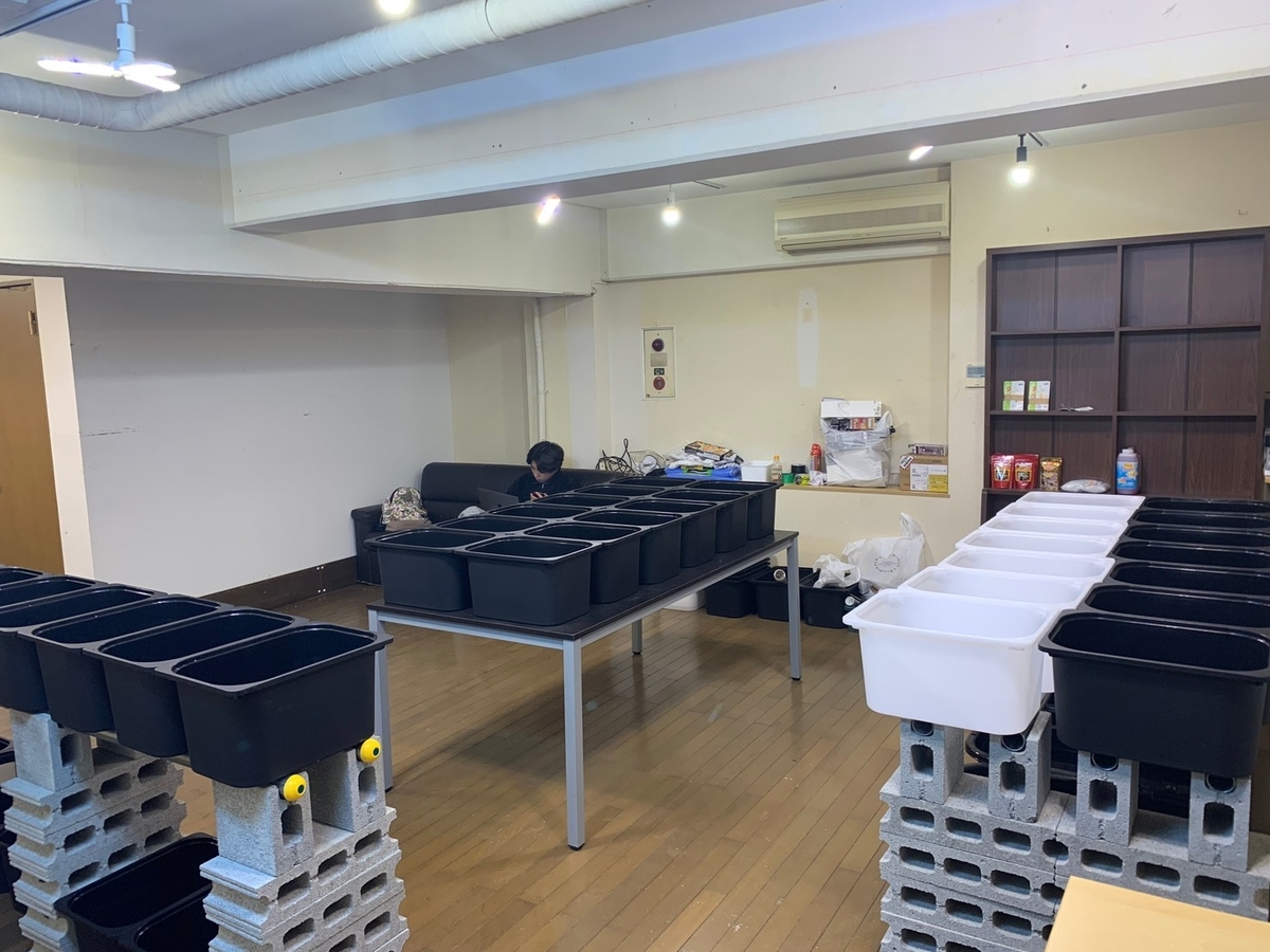 明日4月10日 土 朝10時 神奈川県初のメダカ専門店がopen 堀切めだか