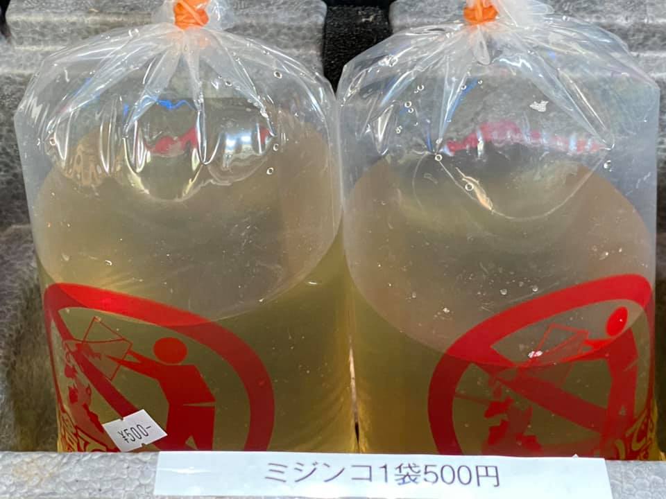 最高のエサはミジンコ 最低のエサもミジンコ 堀切めだか