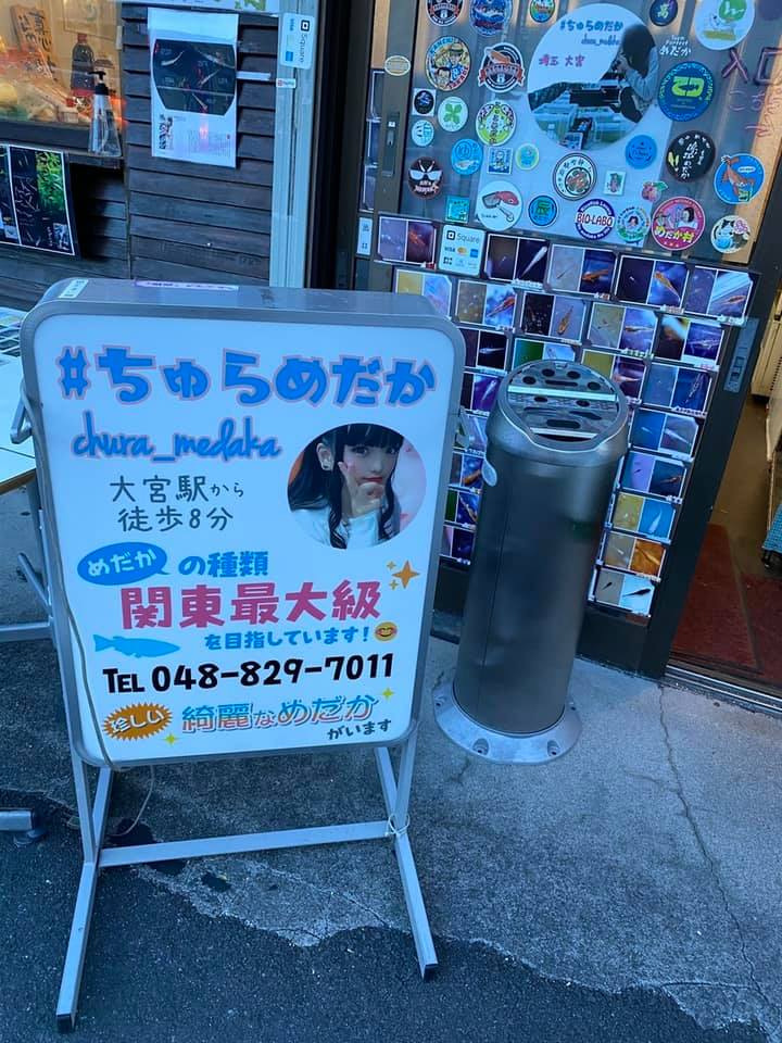 f:id:izest:20210705225807j:plain