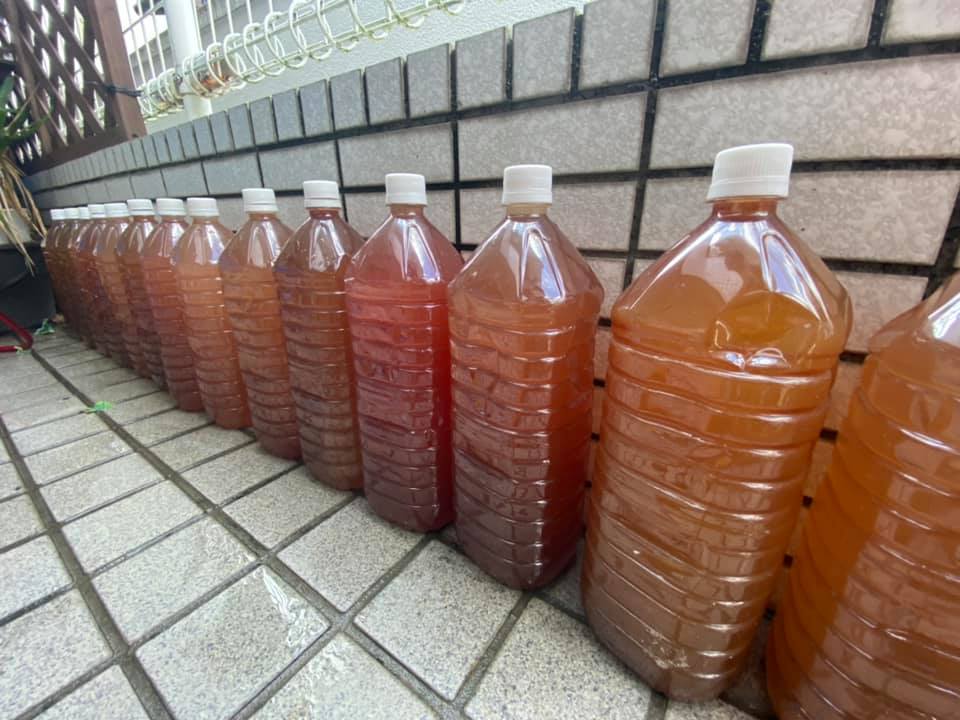 f:id:izest:20210921201024j:plain