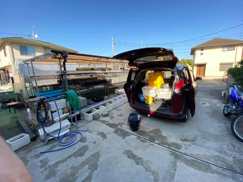 f:id:izest:20210923225612j:plain