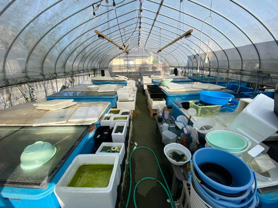 f:id:izest:20210923225942j:plain