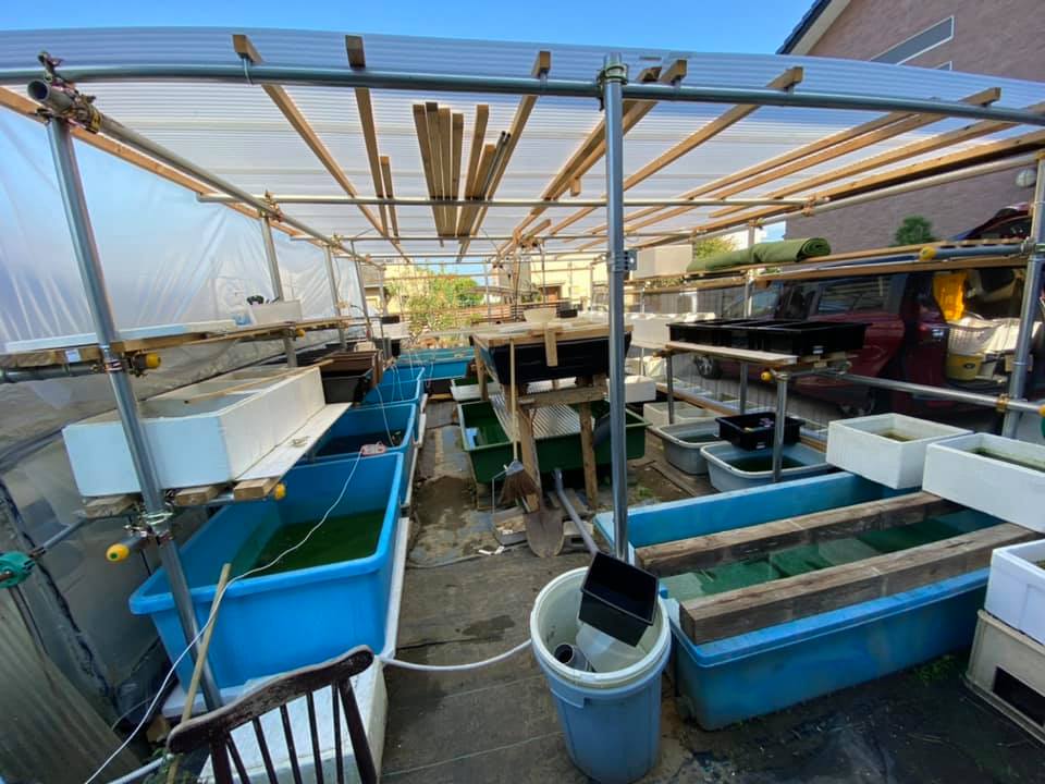 f:id:izest:20210923230031j:plain