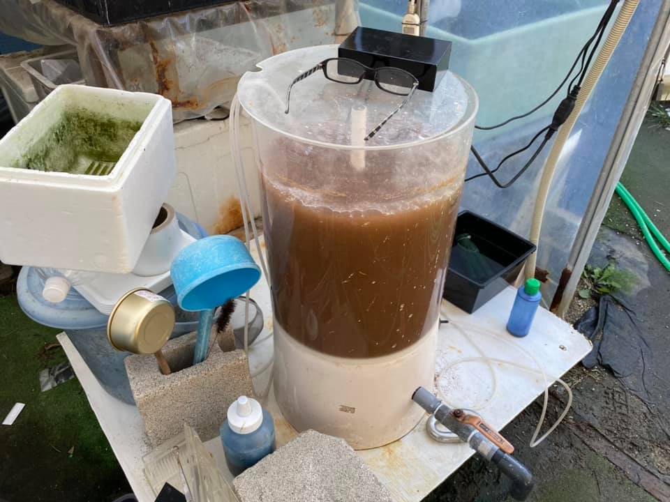 f:id:izest:20210923230300j:plain