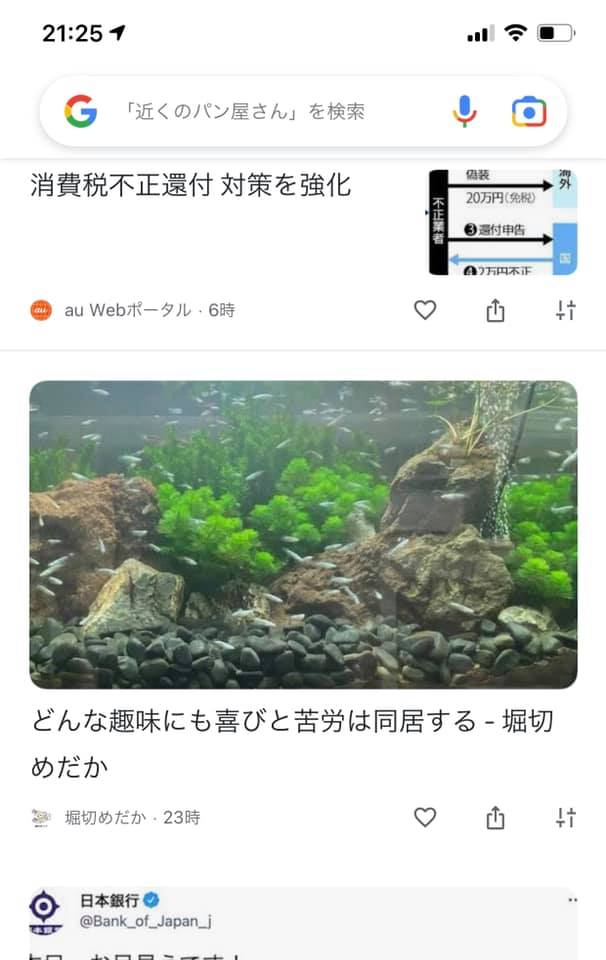 f:id:izest:20211110123950j:plain