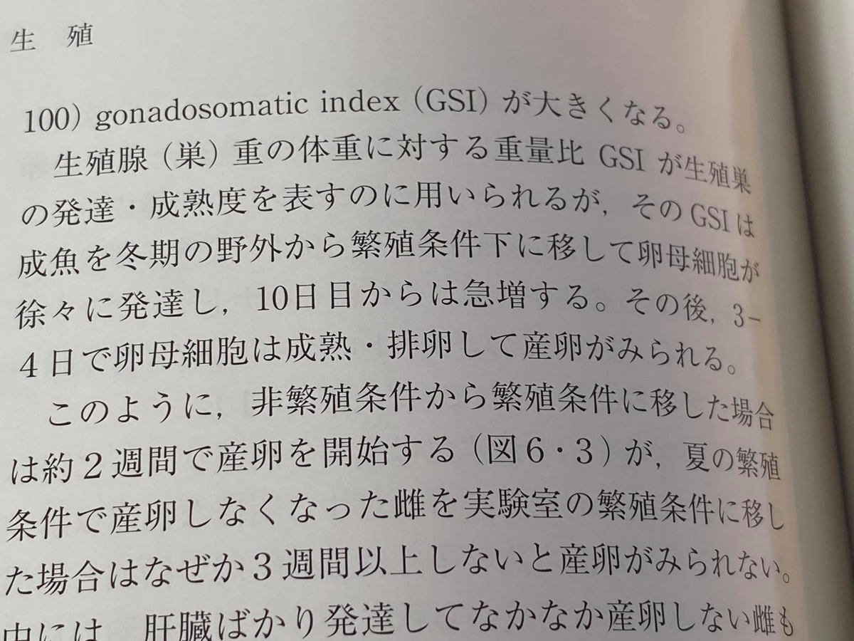 f:id:izest:20211116110621j:plain