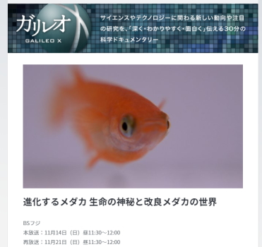 見逃し配信1週間 進化するメダカ ガリレオx第254回 堀切めだか