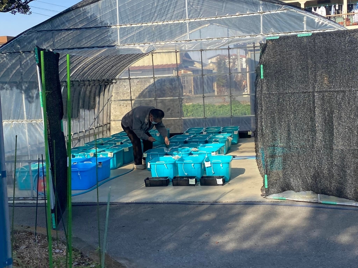 f:id:izest:20211217092512j:plain