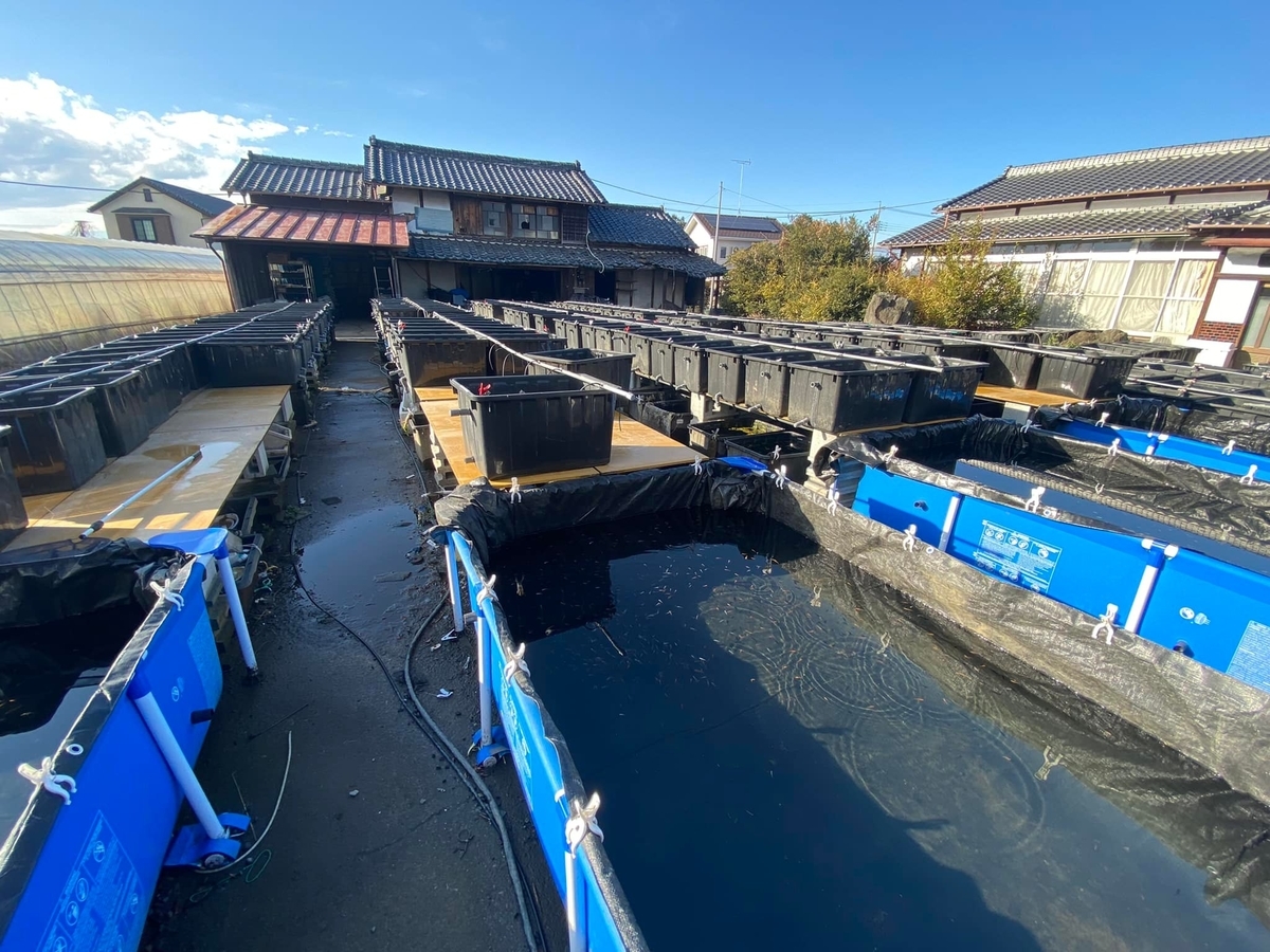 f:id:izest:20211218232150j:plain