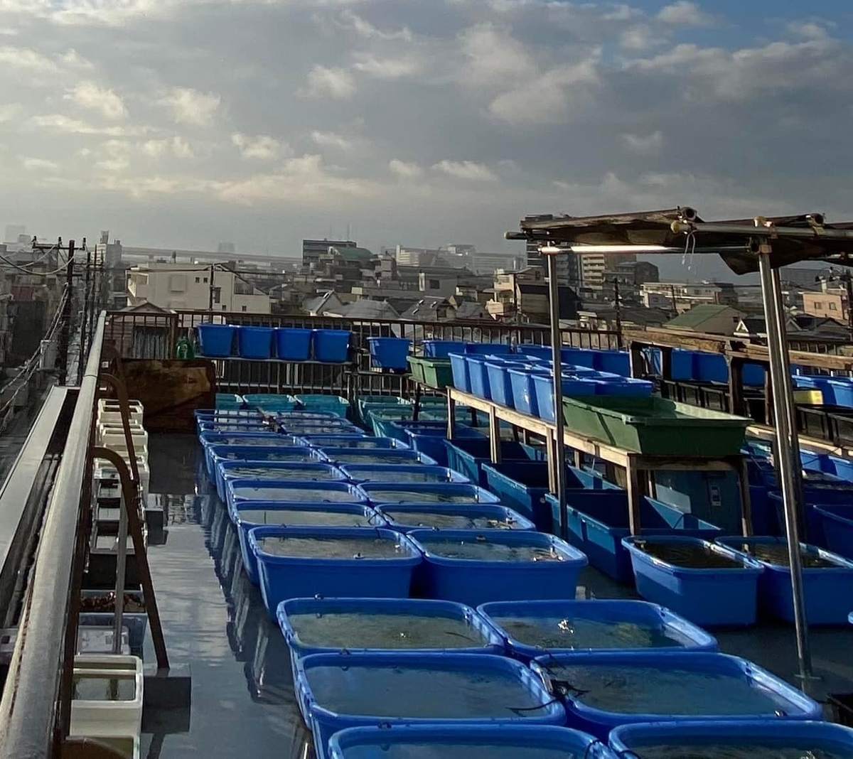 f:id:izest:20211221193400j:plain