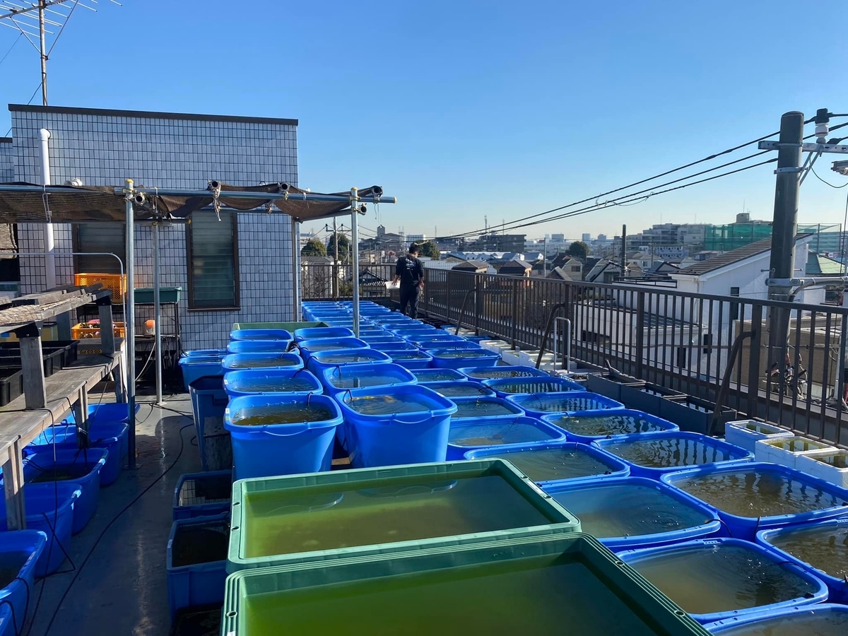 f:id:izest:20211221193435j:plain