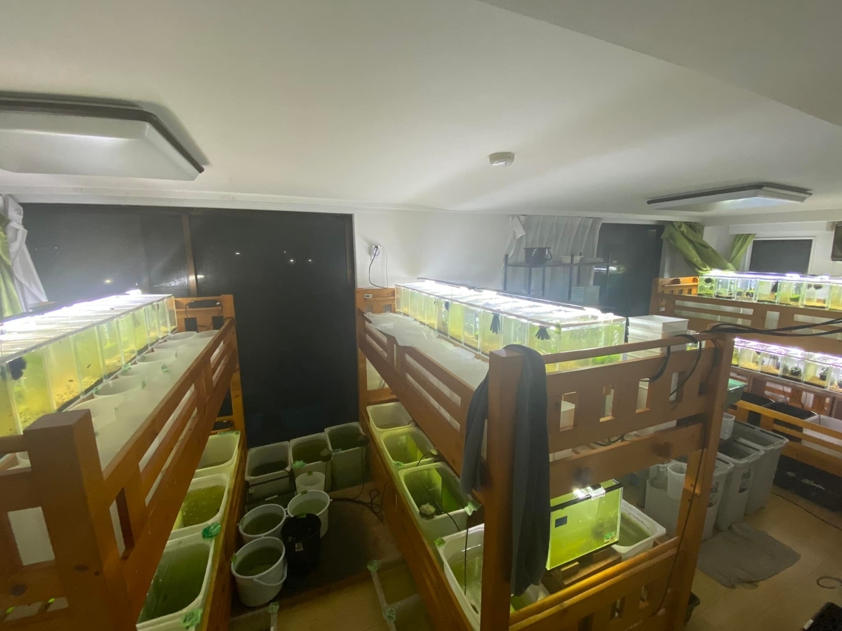 f:id:izest:20211221193457j:plain