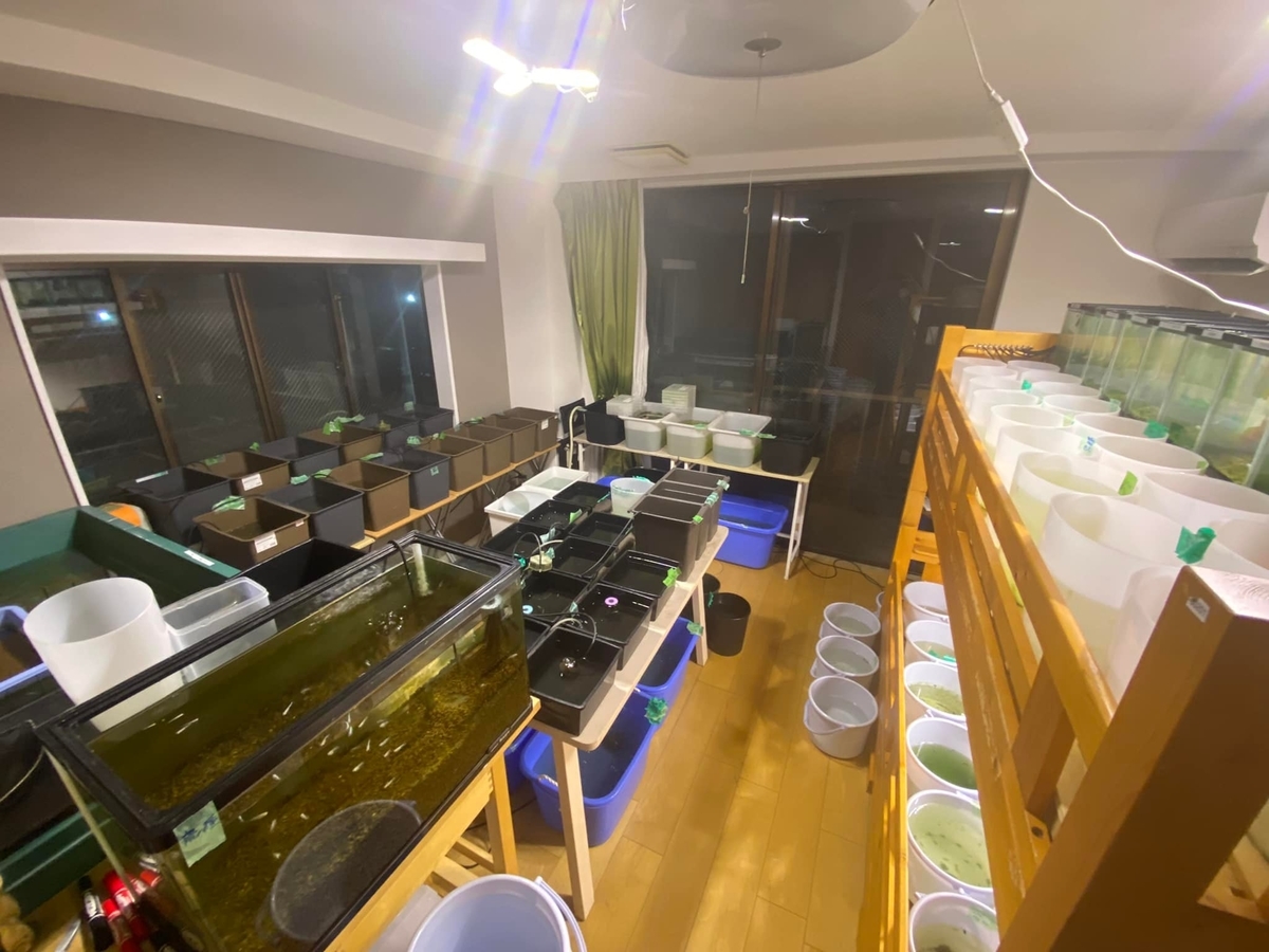 f:id:izest:20211221193524j:plain