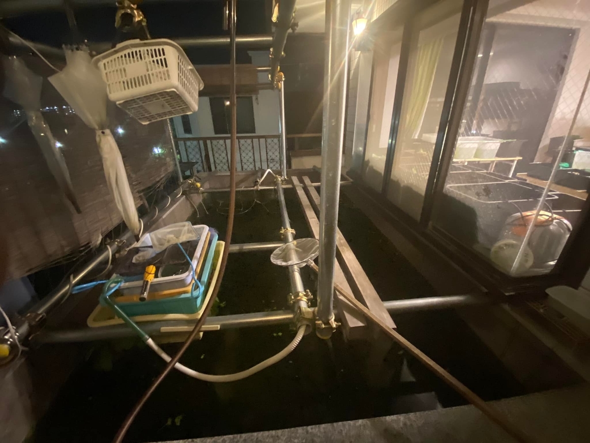 f:id:izest:20211221193637j:plain