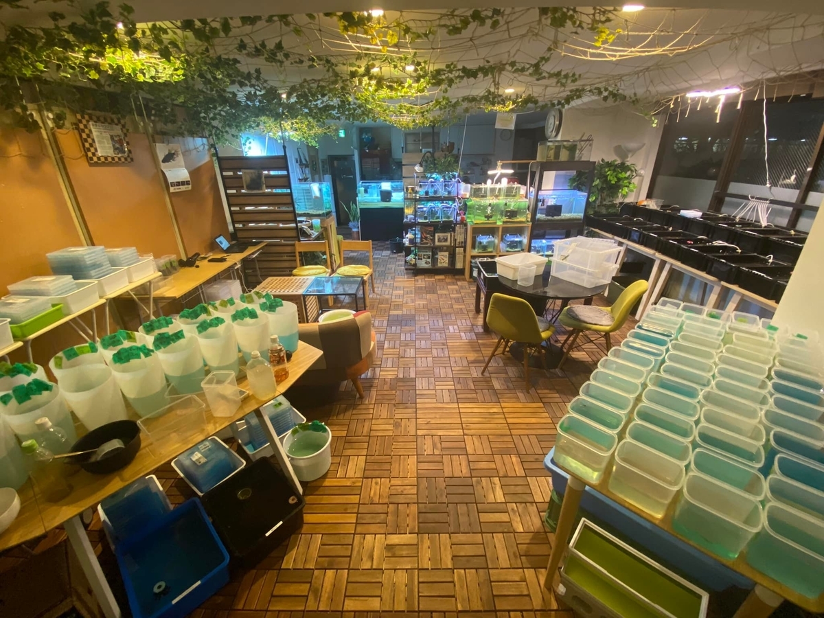 f:id:izest:20211221193715j:plain