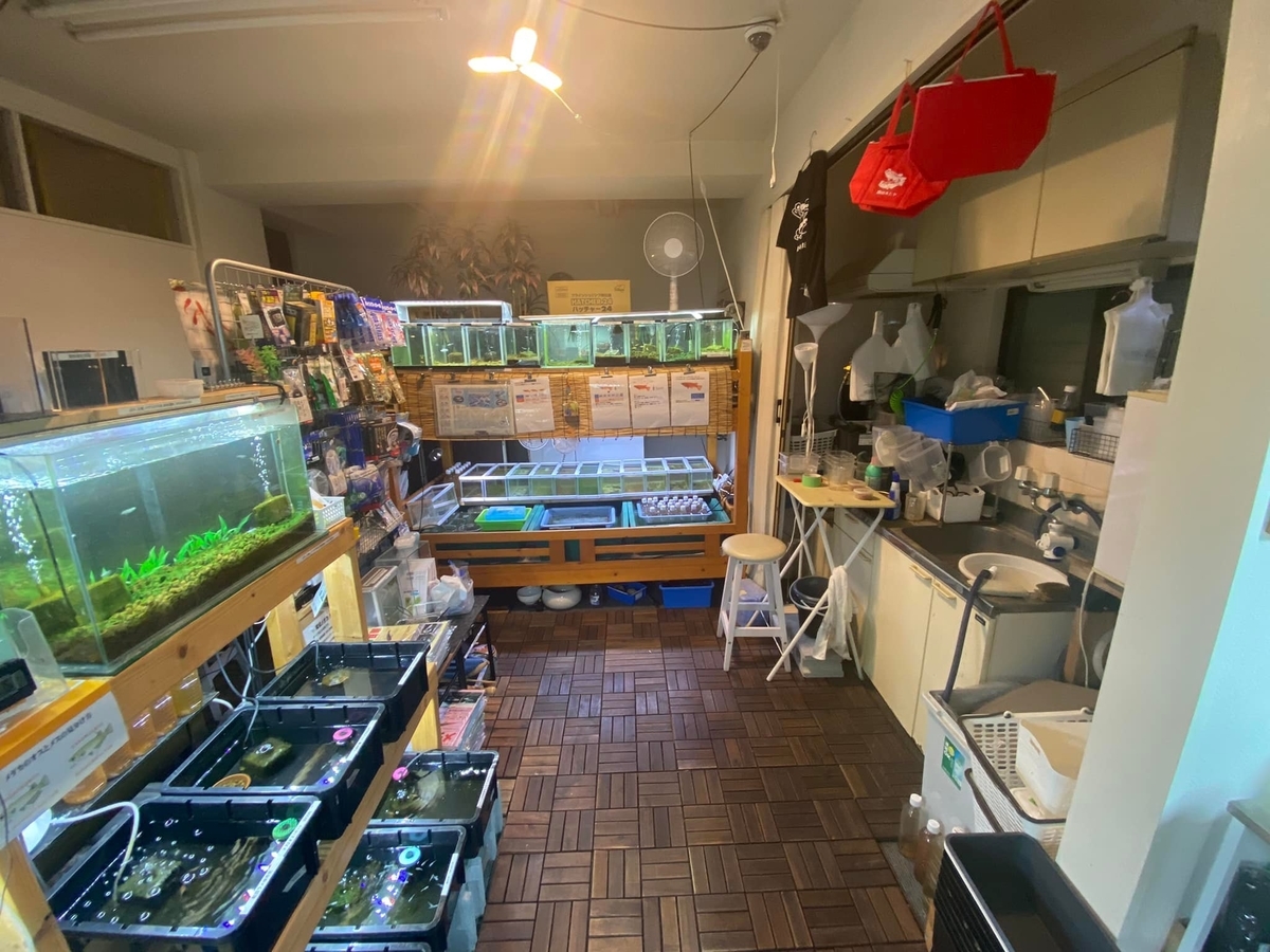 f:id:izest:20211221193900j:plain