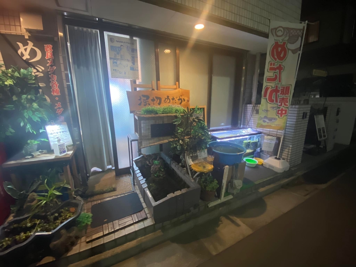 f:id:izest:20211221193955j:plain