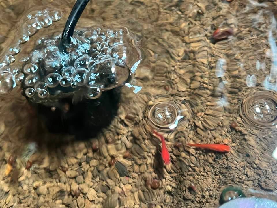 f:id:izest:20220124144157j:plain