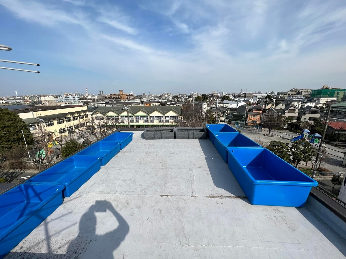 f:id:izest:20220310184720j:plain