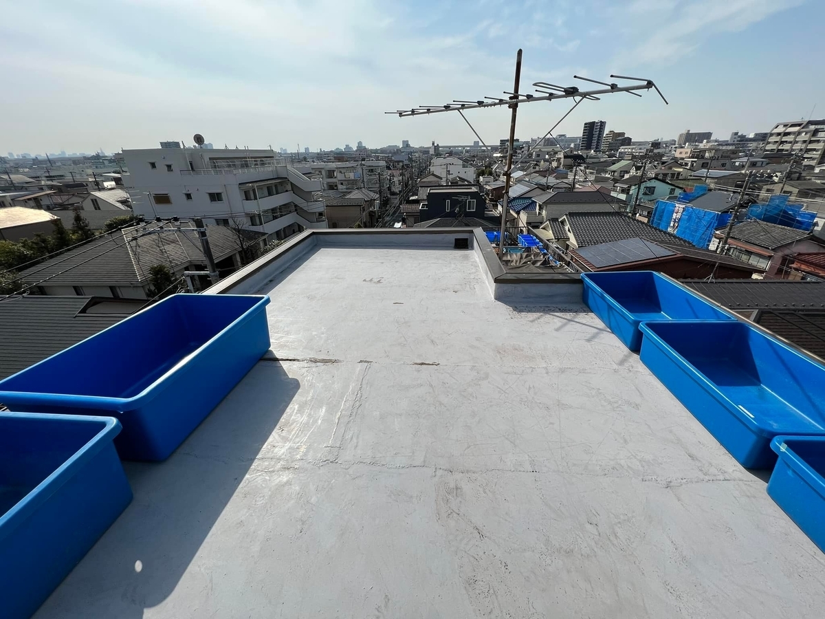 f:id:izest:20220310184733j:plain