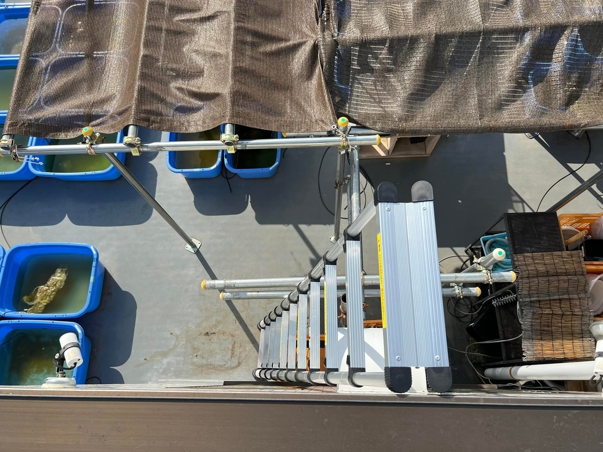 f:id:izest:20220310201259j:plain