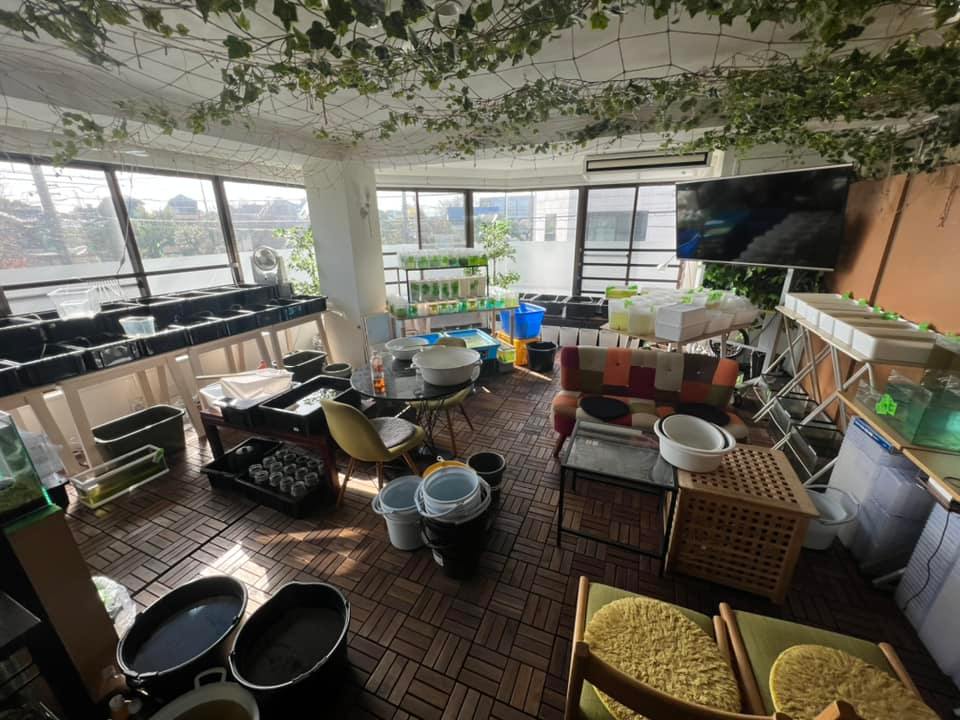 f:id:izest:20220320091530j:plain