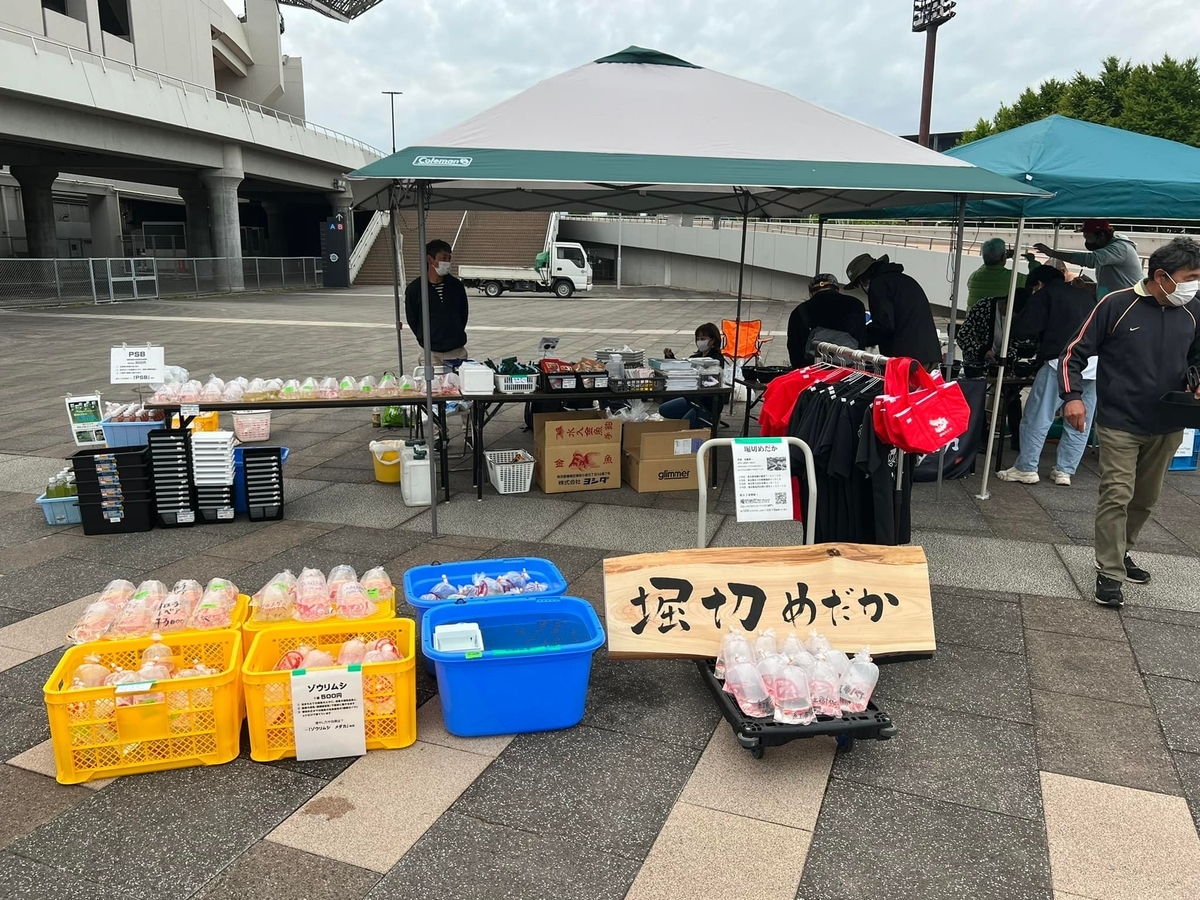心めだかさんは応援をしたくなるメダカ屋さん - 堀切めだか