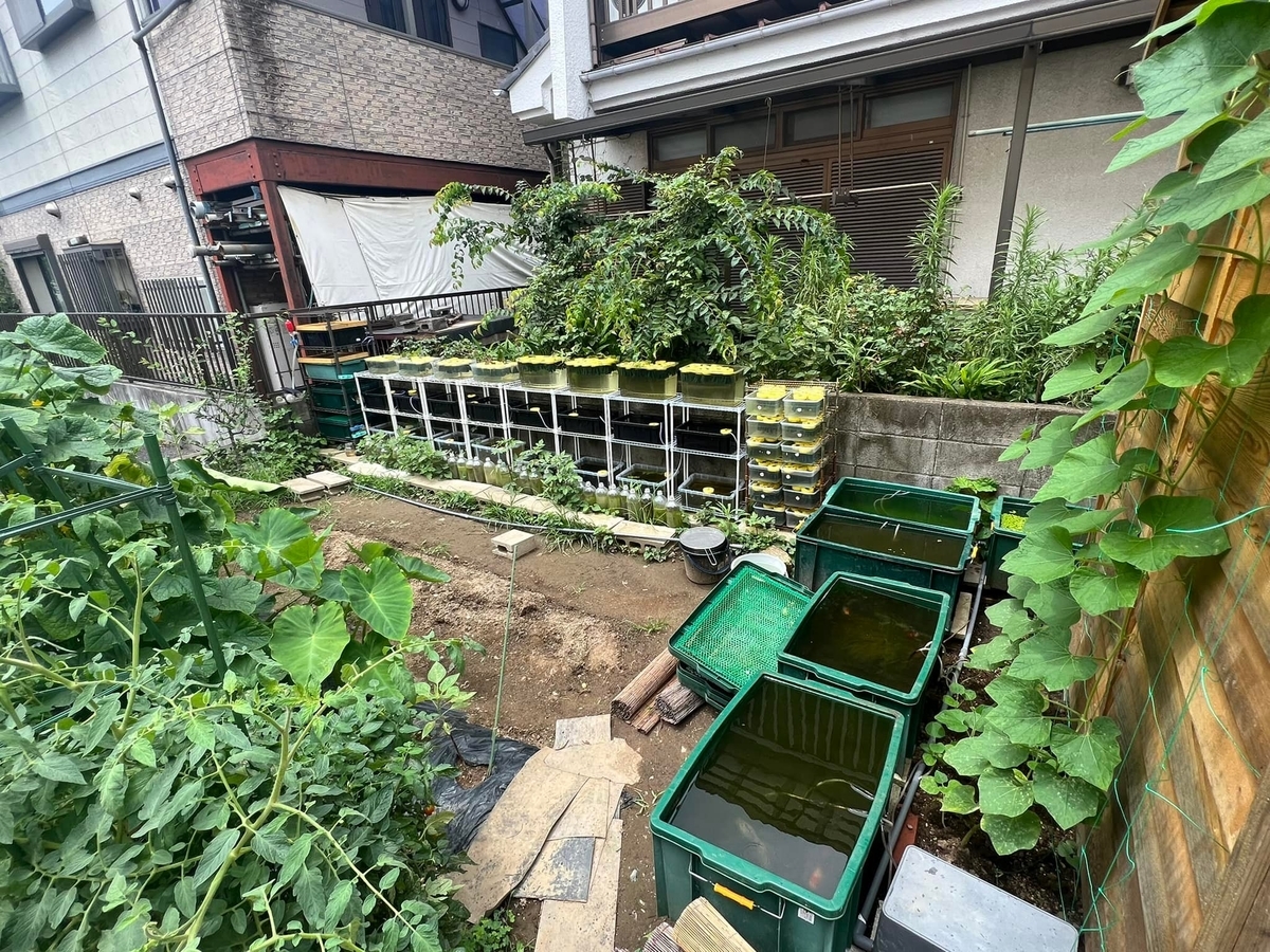 メダカ引取物語 ５ 遺品整理 堀切めだか