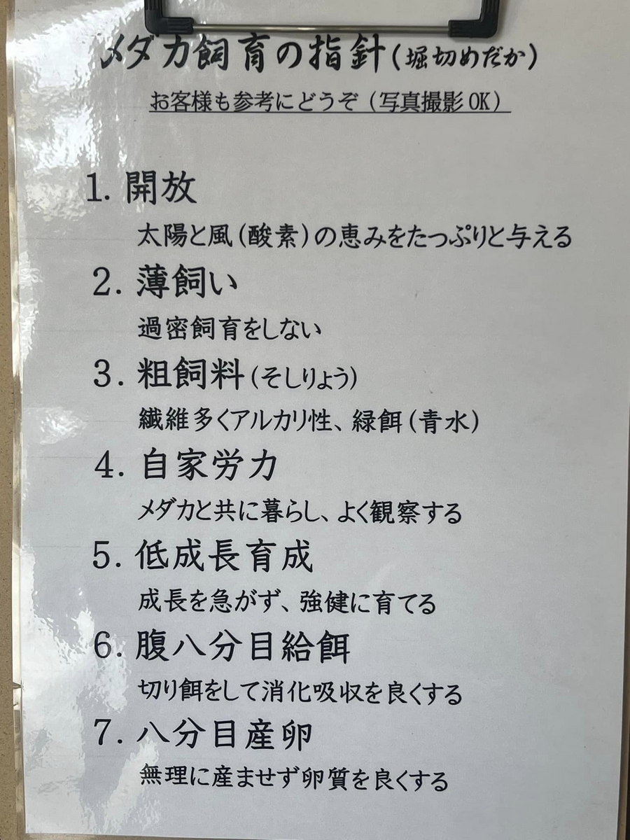 品種改良とは違う意味の「改良」の話 - 堀切めだか