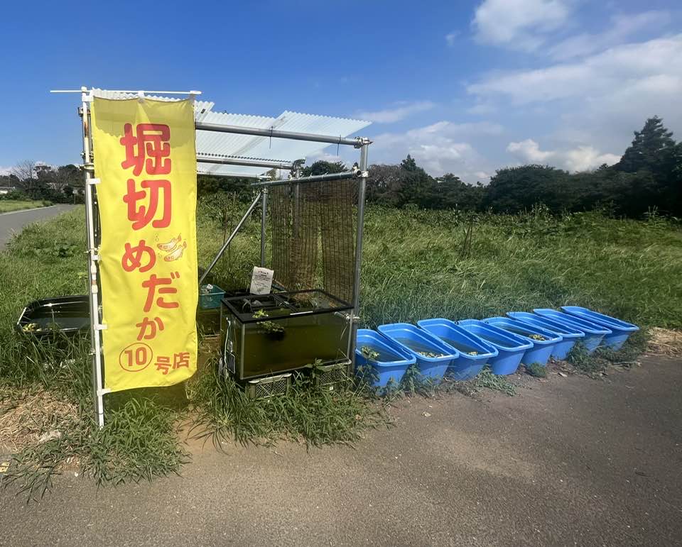 大人のレゴブロック遊び - 堀切めだか
