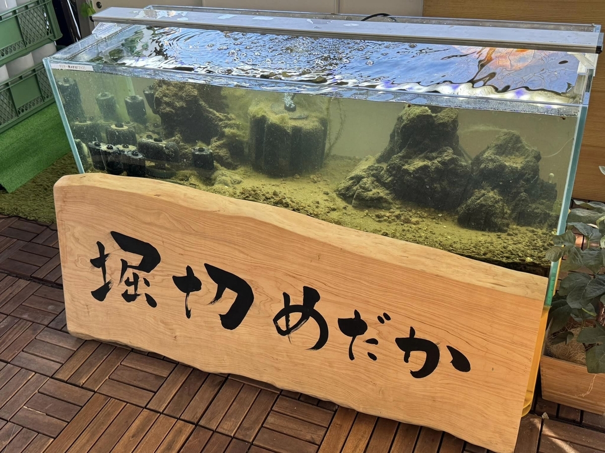 フィルターを育てる - 堀切めだか