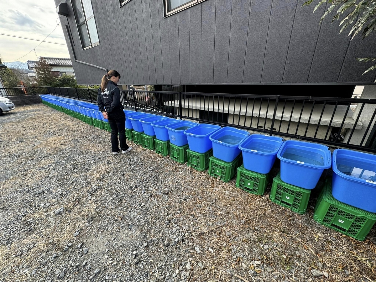 14号店（埼玉県秩父市）開店 - 堀切めだか