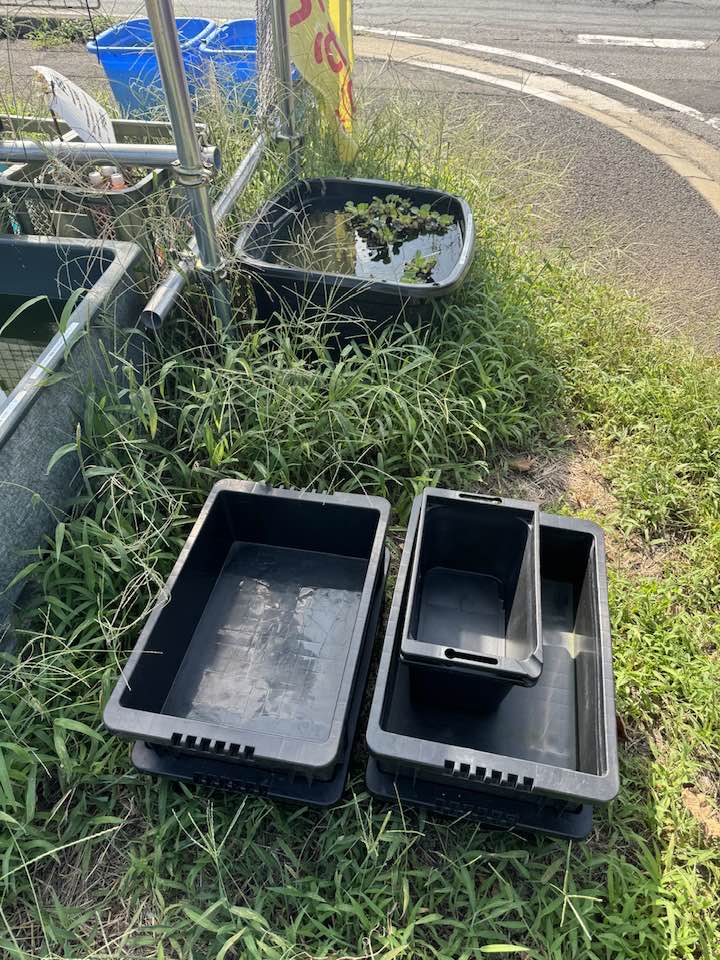 本日】7月27日のみ引取可能な方