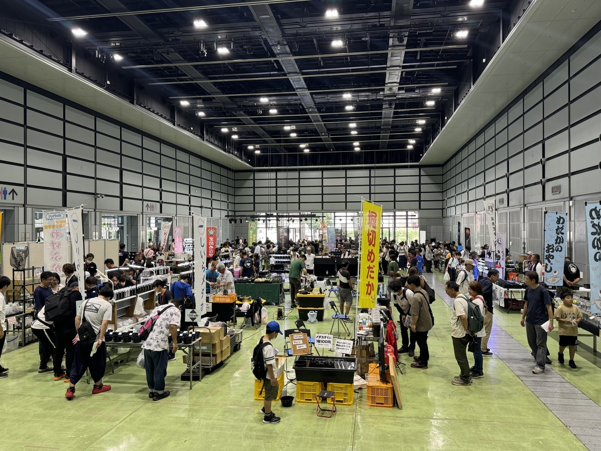 東京メダカフェス、堀切めだかブースの紹介 - 堀切めだか
