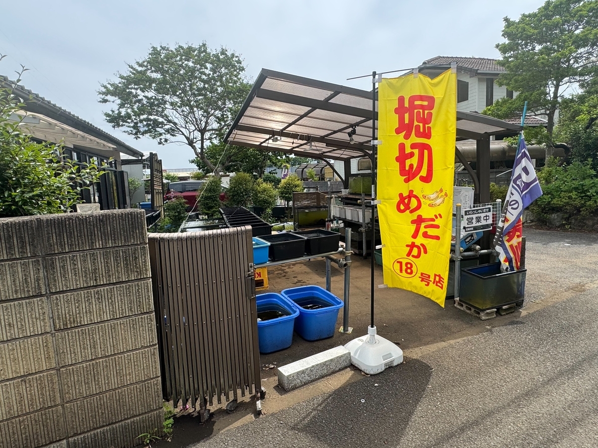 こちらの商品は、めぐたんとなります。 71MJY+O8hEL.jpg