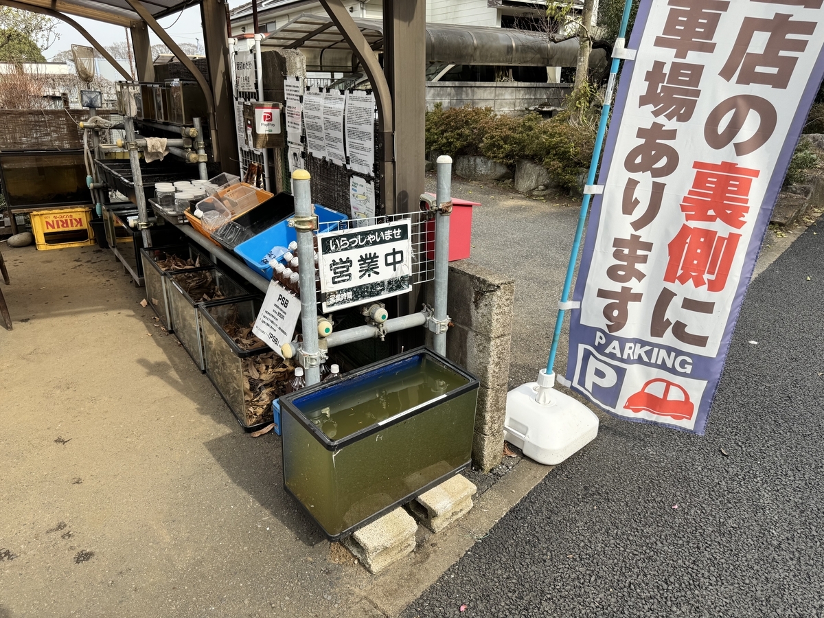 メダカ引取物語（73）年中24時間引取 - 堀切めだか