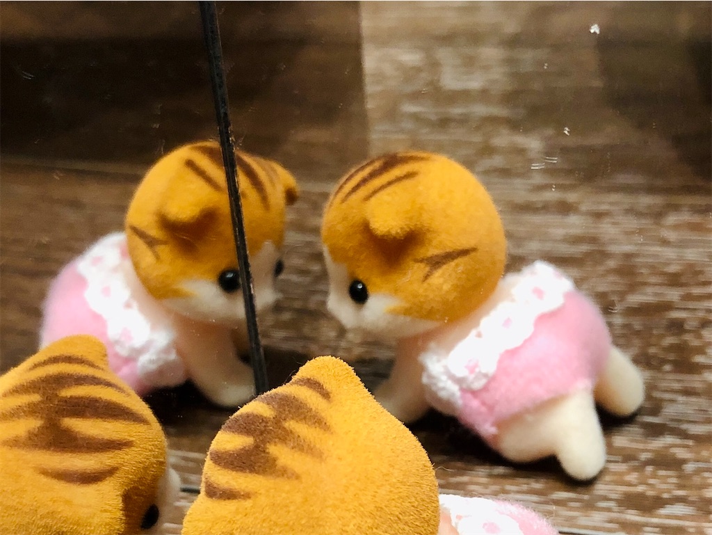 f:id:izukosan:20230820220644j:image
