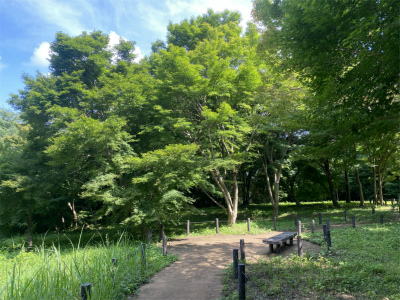モミジ公園