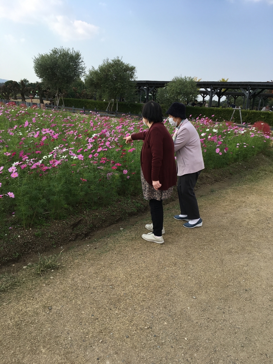 f:id:izumi-eden:20201031090903j:plain