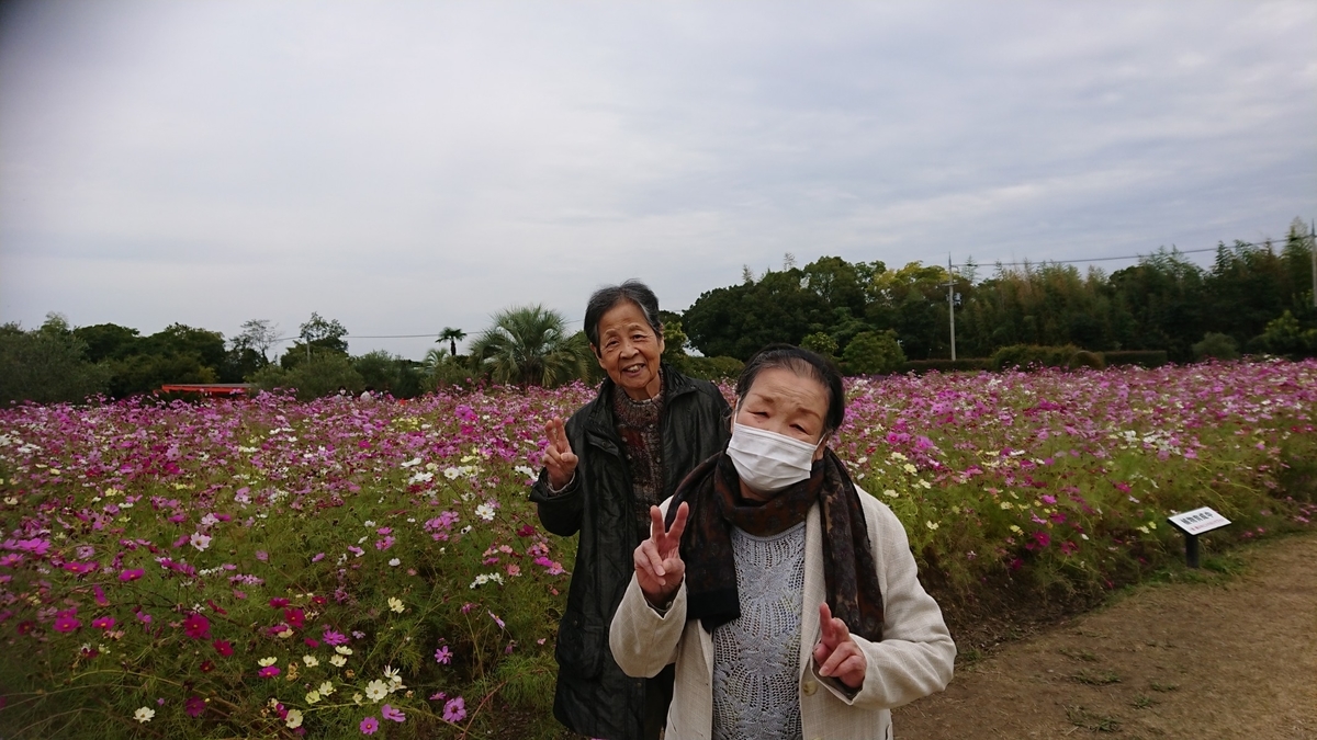 f:id:izumi-eden:20201031091042j:plain