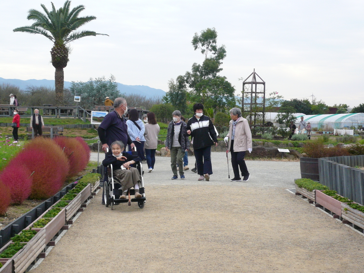 f:id:izumi-eden:20201031091130j:plain
