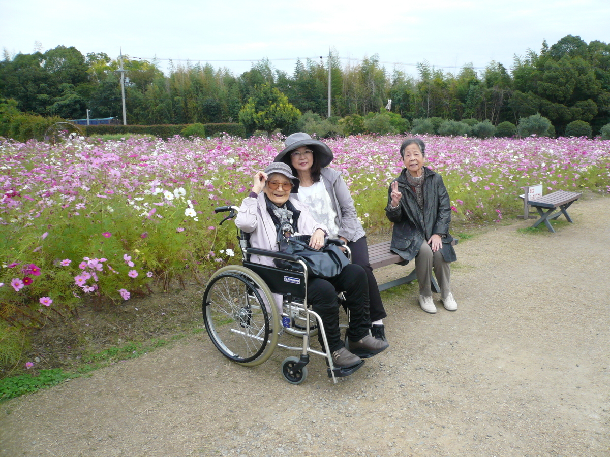 f:id:izumi-eden:20201031091245j:plain
