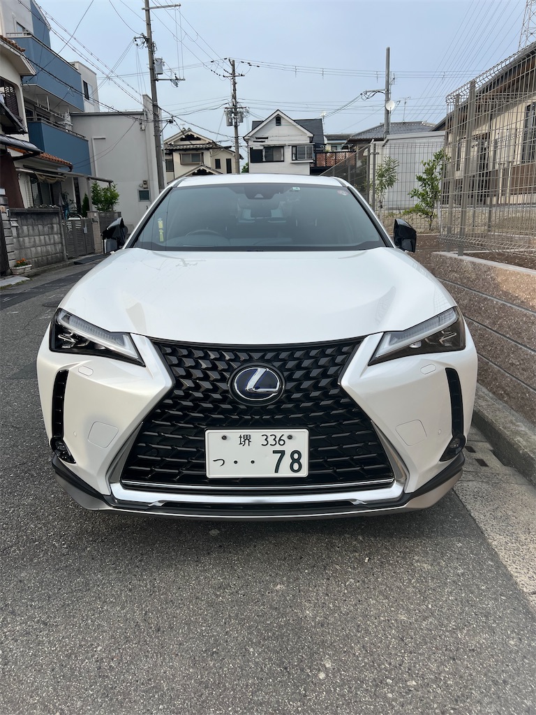 f:id:izumi-kasahara:20240807210537j:image