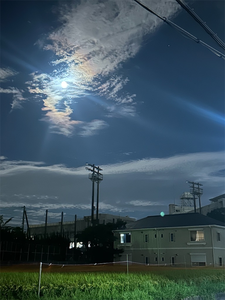f:id:izumi-kasahara:20240919090540j:image
