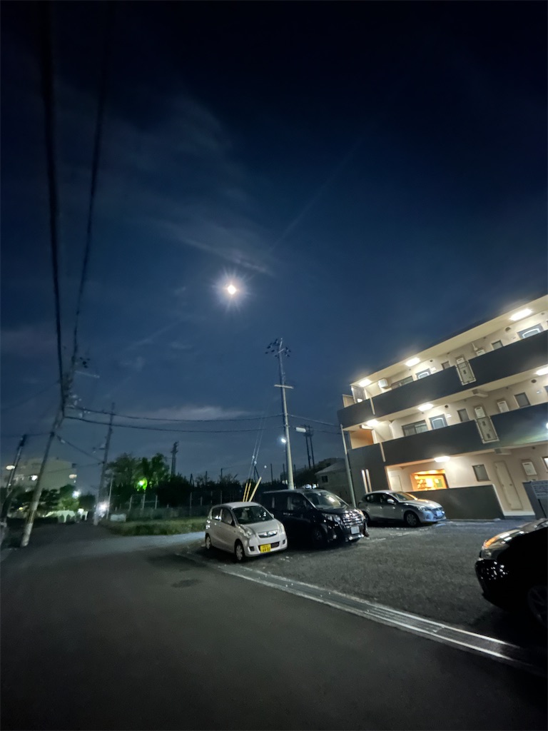 f:id:izumi-kasahara:20241019224103j:image