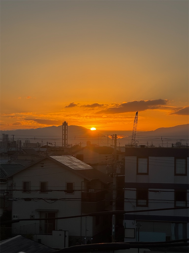 f:id:izumi-kasahara:20250102163110j:image